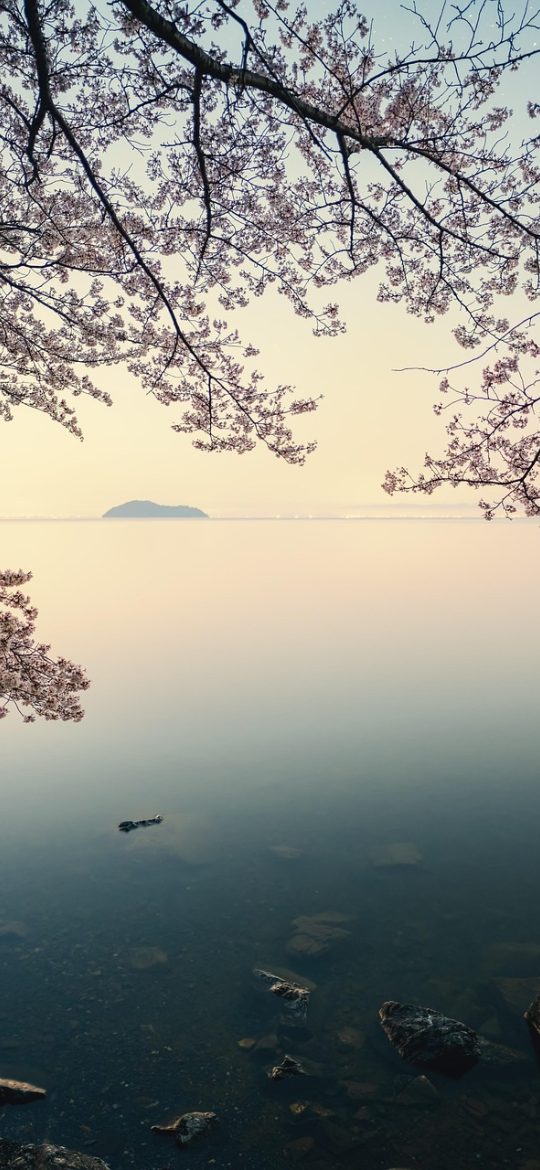 樱花映射 App 离线缓存设置界面截图，滑块用于调节缓存上限，下方是保留天数选项与当前占用空间显示